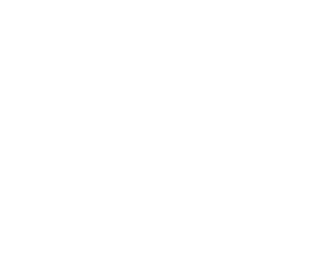 metroPCS
